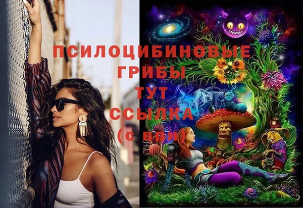 spice Алексин