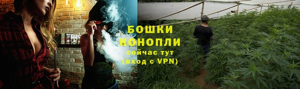 ECSTASY Строитель