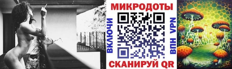 Псилоцибиновые грибы Cubensis  Юрьевец 